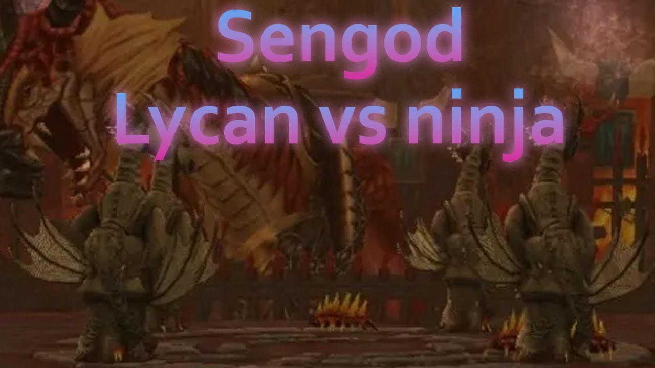 Metin2 Carpathians - Lycan vs ninja la Meley