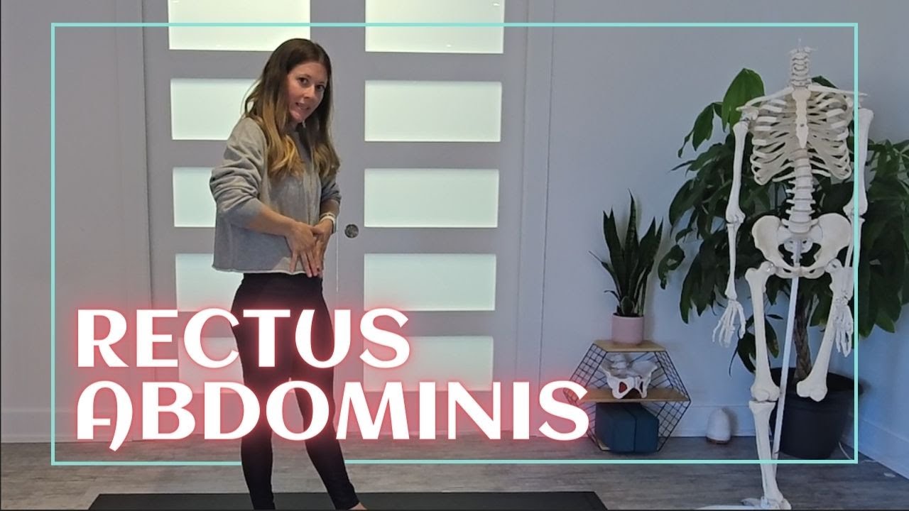 Episode 16: Rectus Abdominis