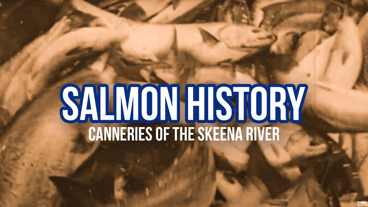History of Salmon Fishing and Canneries In the Skeena River, British Columbia