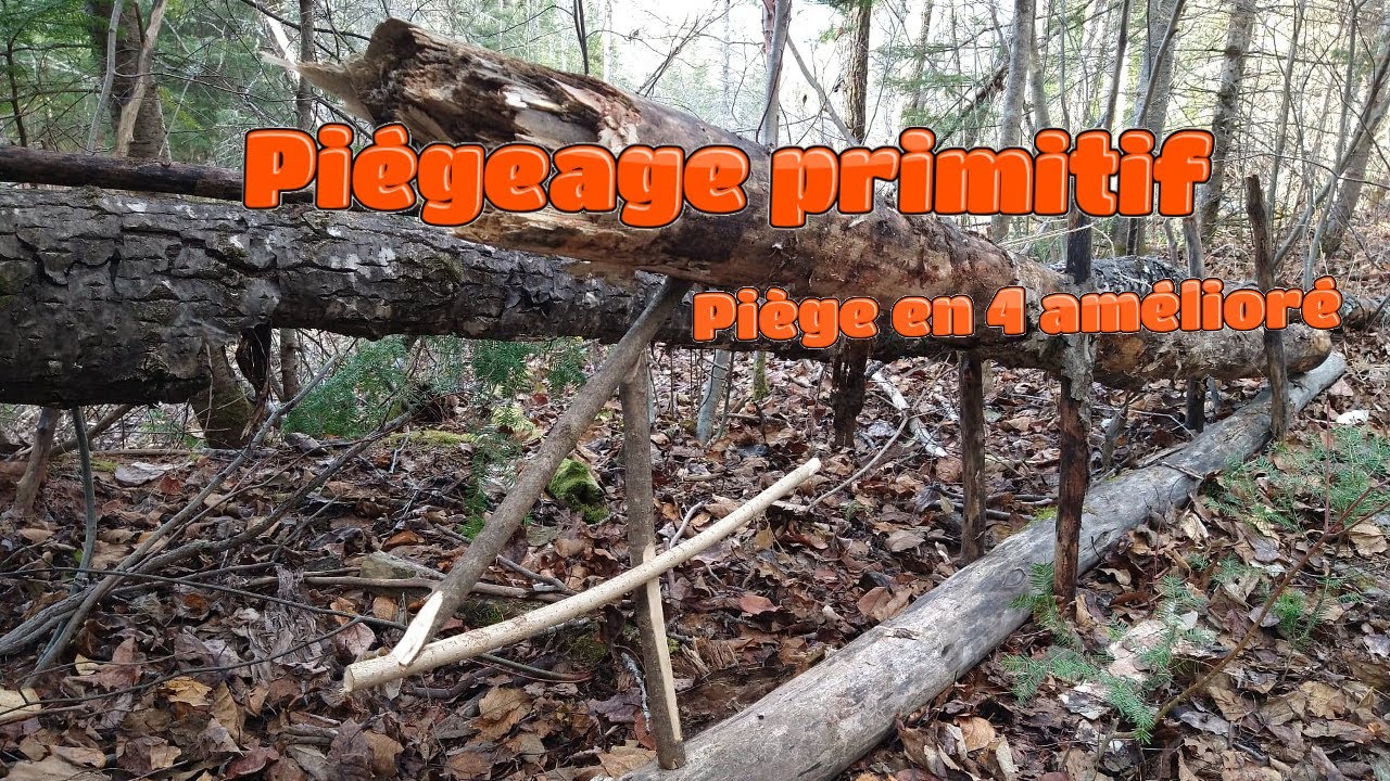 Piégeage primitif - Piège en 4 amélioré
