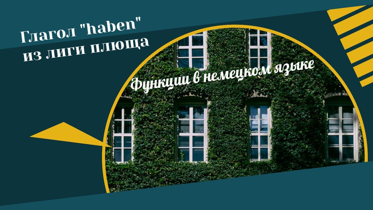 Глагол «haben» из лиги плюща #haben