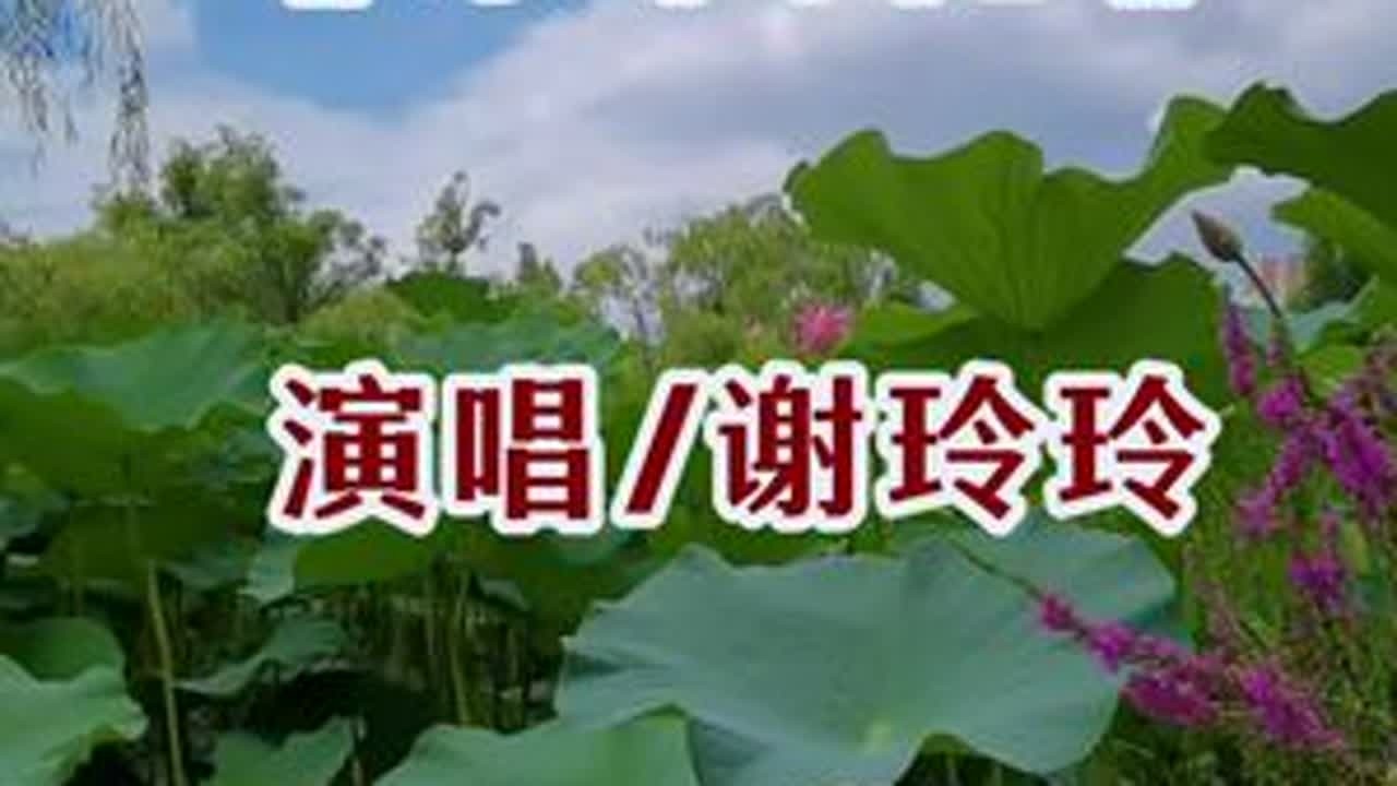 @绿城房产online #家好春长在 #音乐分享#经典歌曲