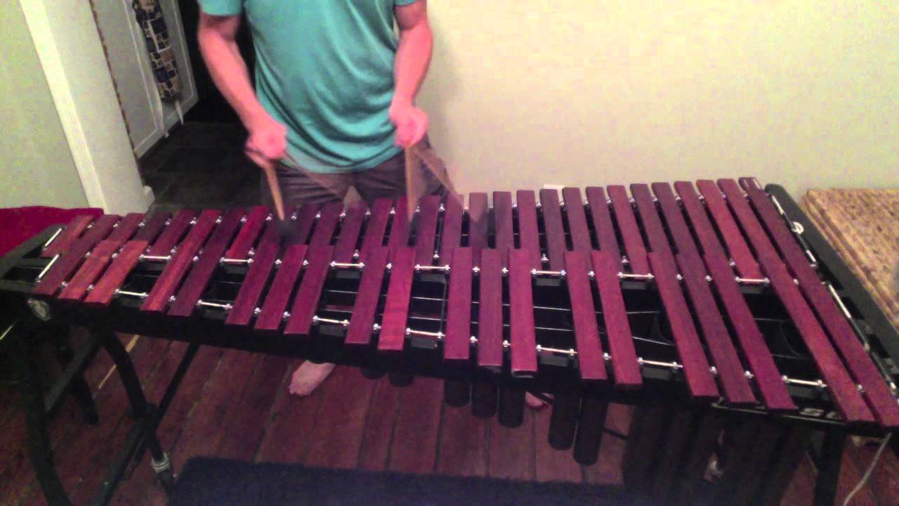 GOTYE - Somebody That I Used To Know - Marimba Version with KITTY!!!