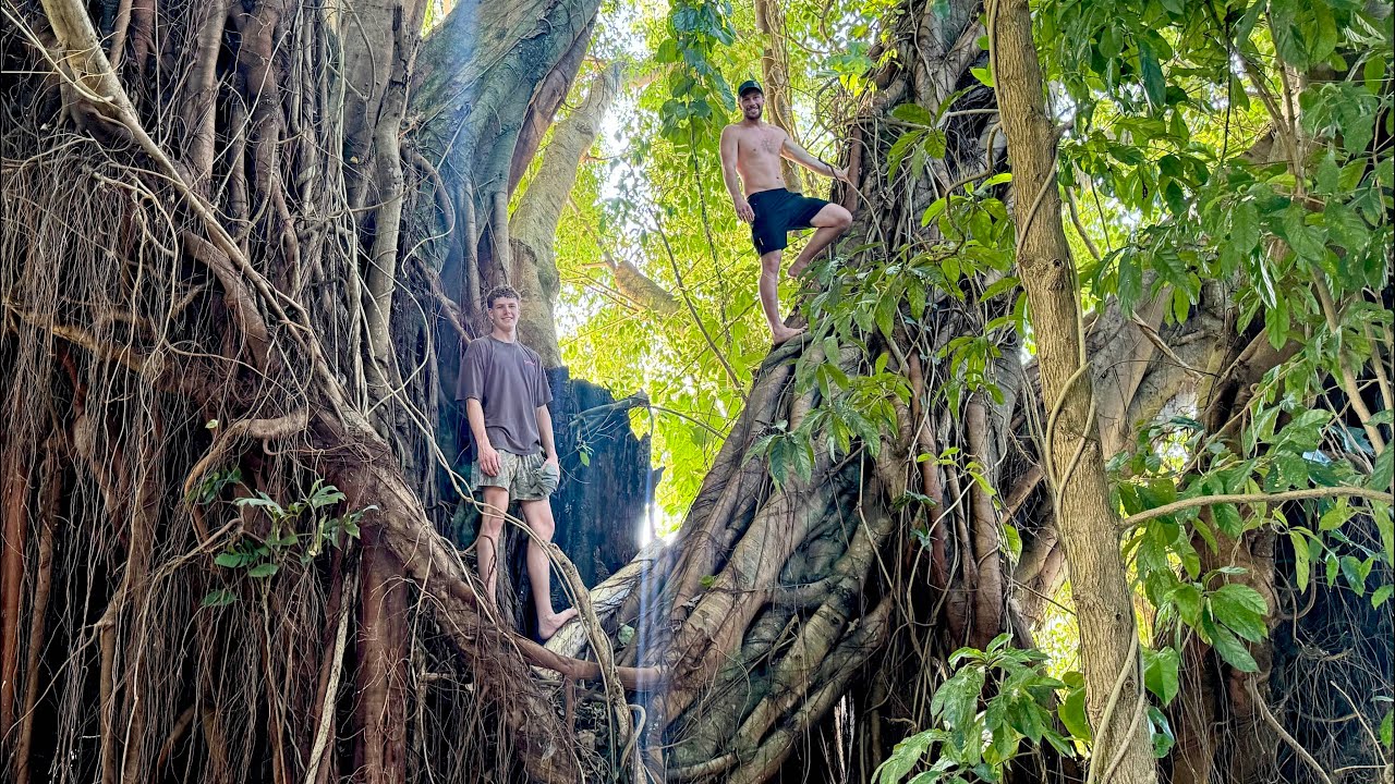 We Climbed a Balete Tree🇵🇭