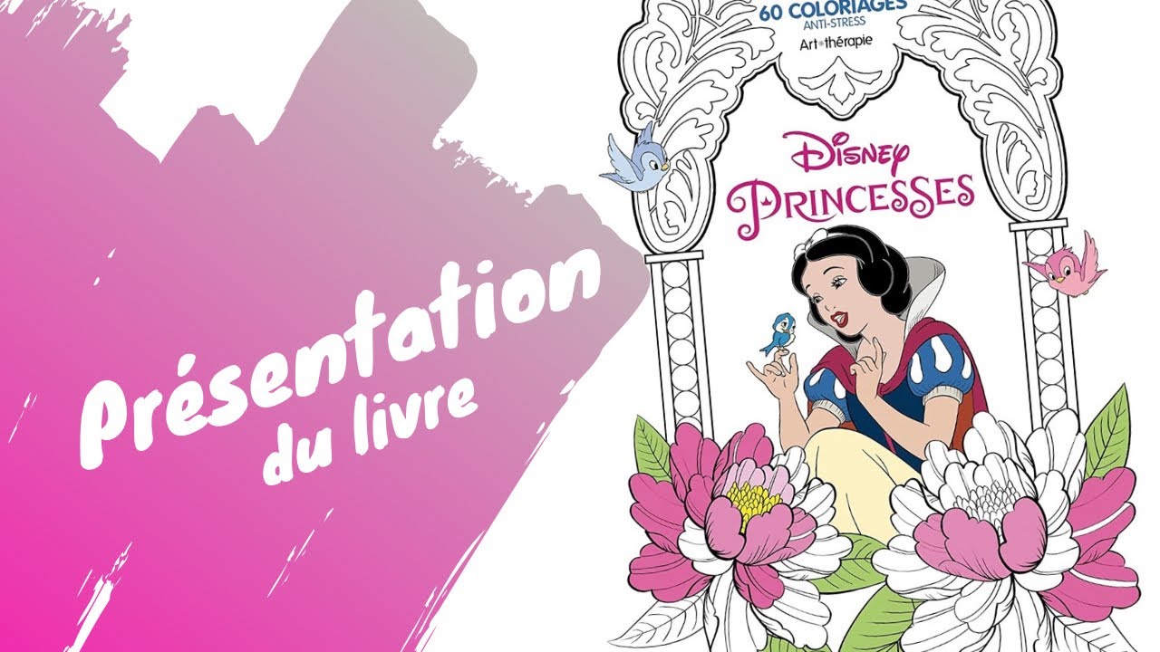 Disney Princesses - Hachette Heroes