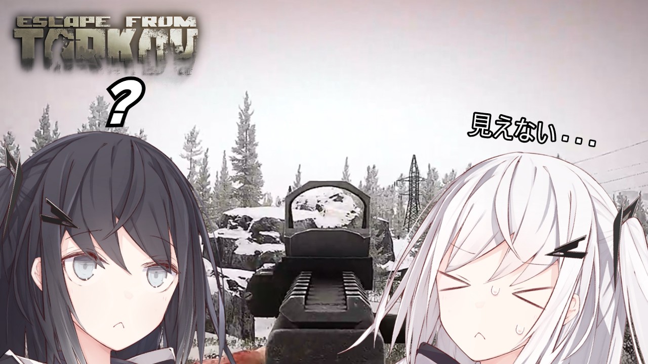 ＃4　砂スカカスカスカスタード（HAHAHA）【EFT】【タルコフ】【coefont】