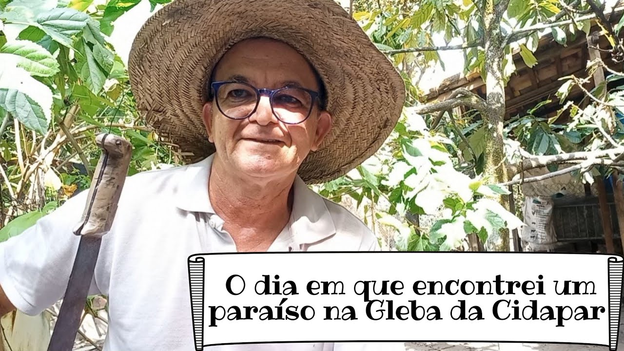 Pistoleiro Quintino × Cidapar no Pará O dia em que encontrei um paraíso.