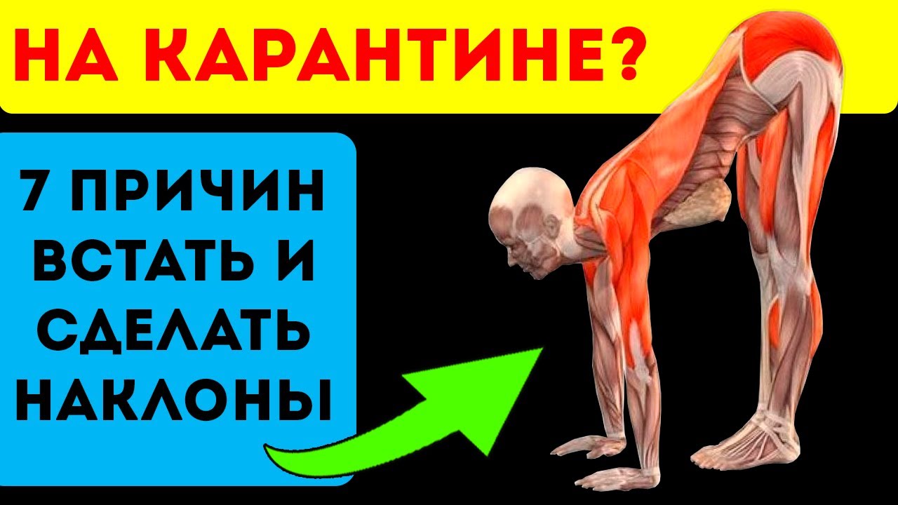 Чудеса произойдут с телом, если Делать Наклоны! 100 лет жизни с сильным иммунитетом