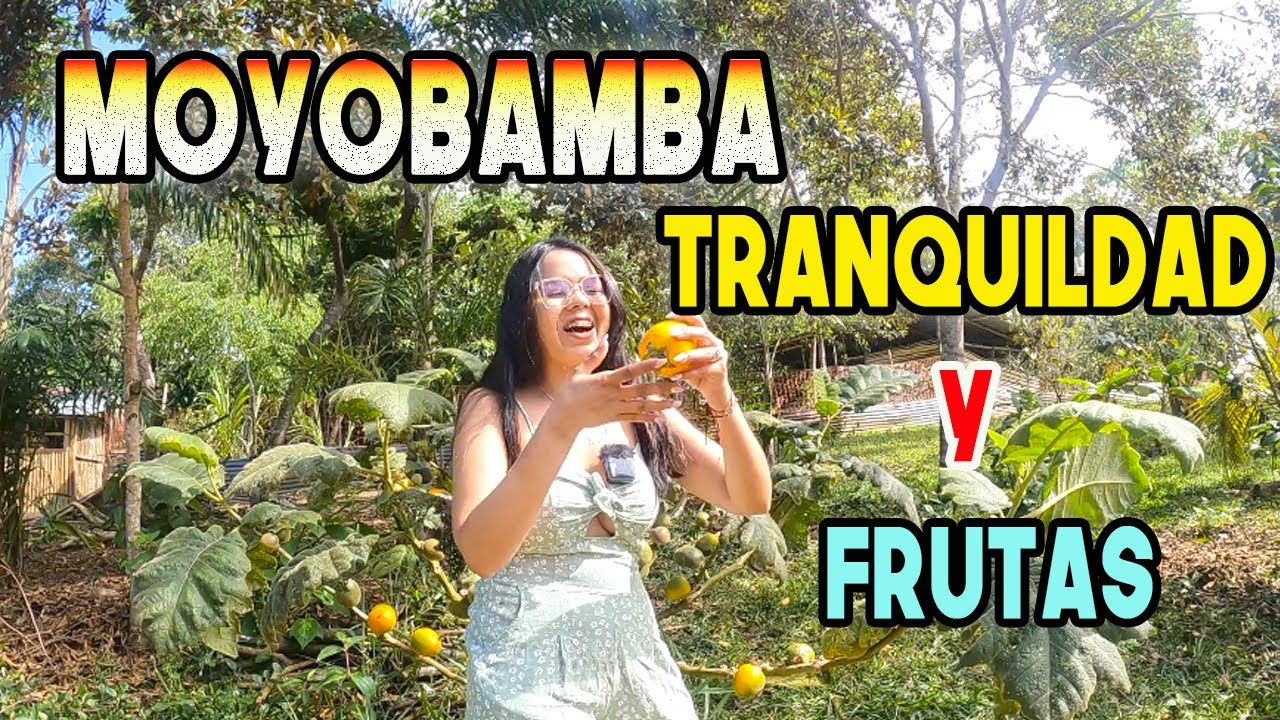 ASÍ ES LA VIDA EN UNA CASA DE CAMPO EN LA SELVA PERUANA (MOYOBAMBA) Antonella Caruci