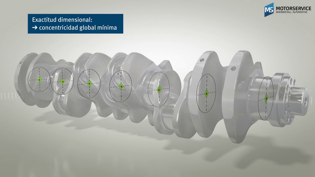 Estructura y funci&oacute;n del cig&uuml;e&ntilde;al (animaci&oacute;n 3D) - Motorservice Group