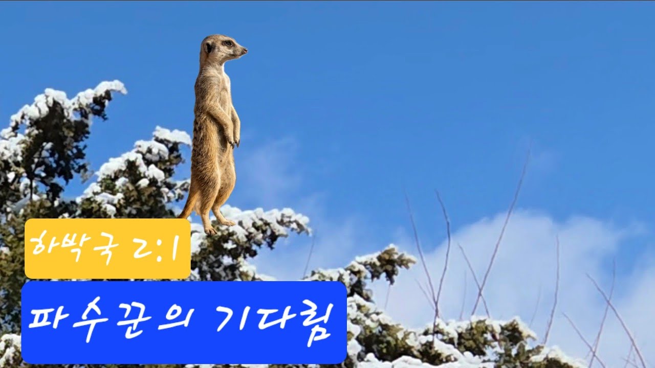 파수꾼의 기다림 #하박국2:1 #ccm 
