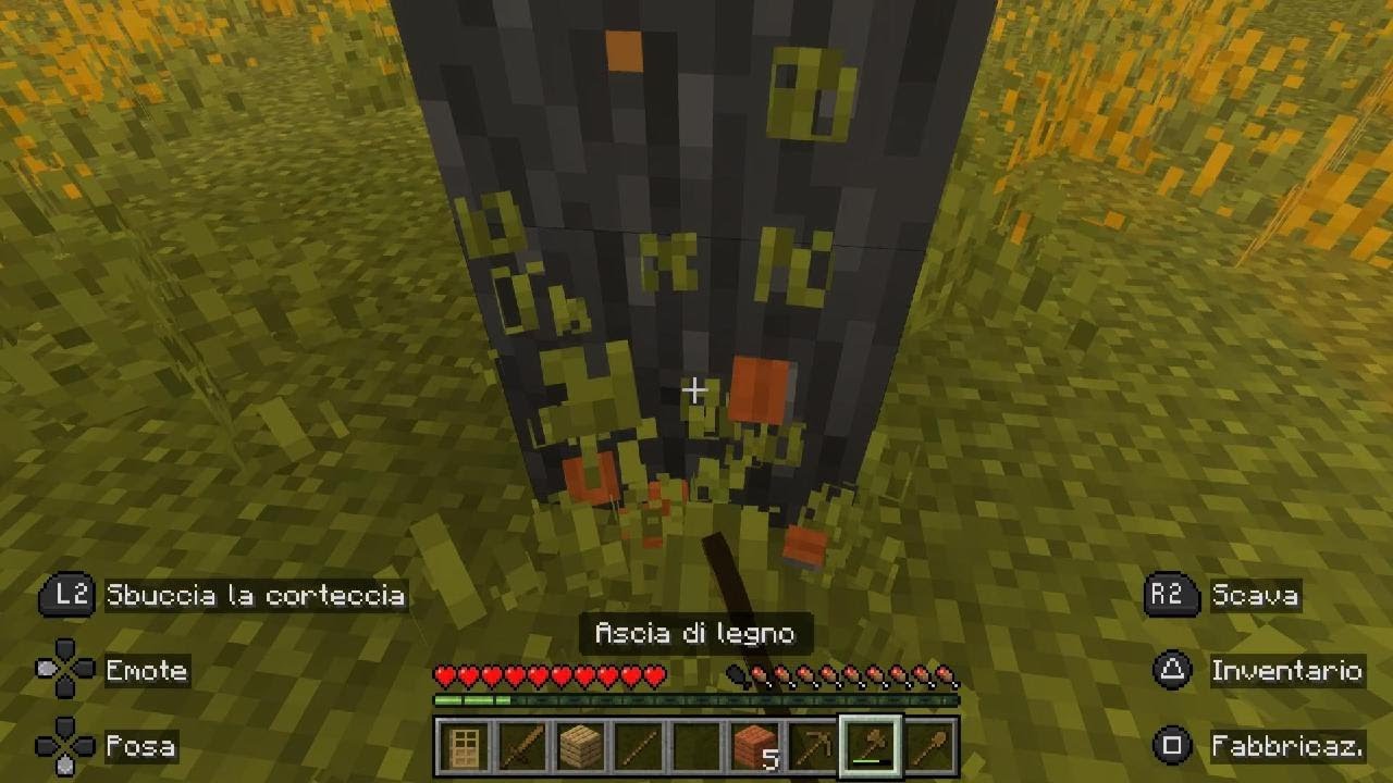 Minecraft_20250806170614