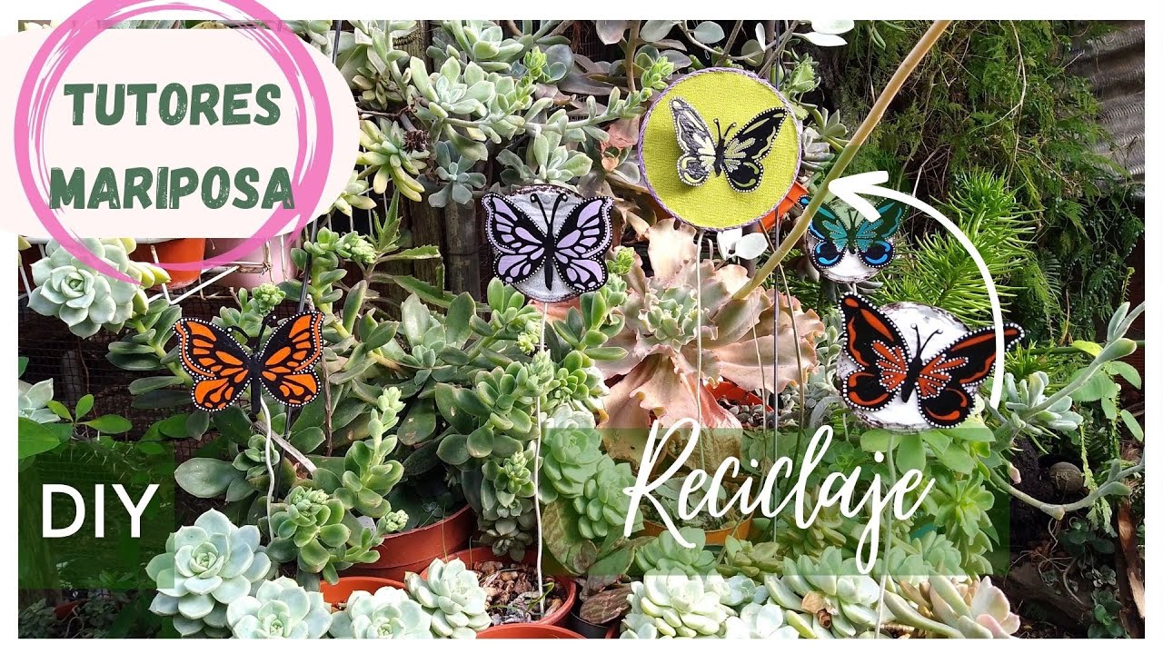 Tutores Mariposa | con CD/ DVD/ Lata/ Alambre
