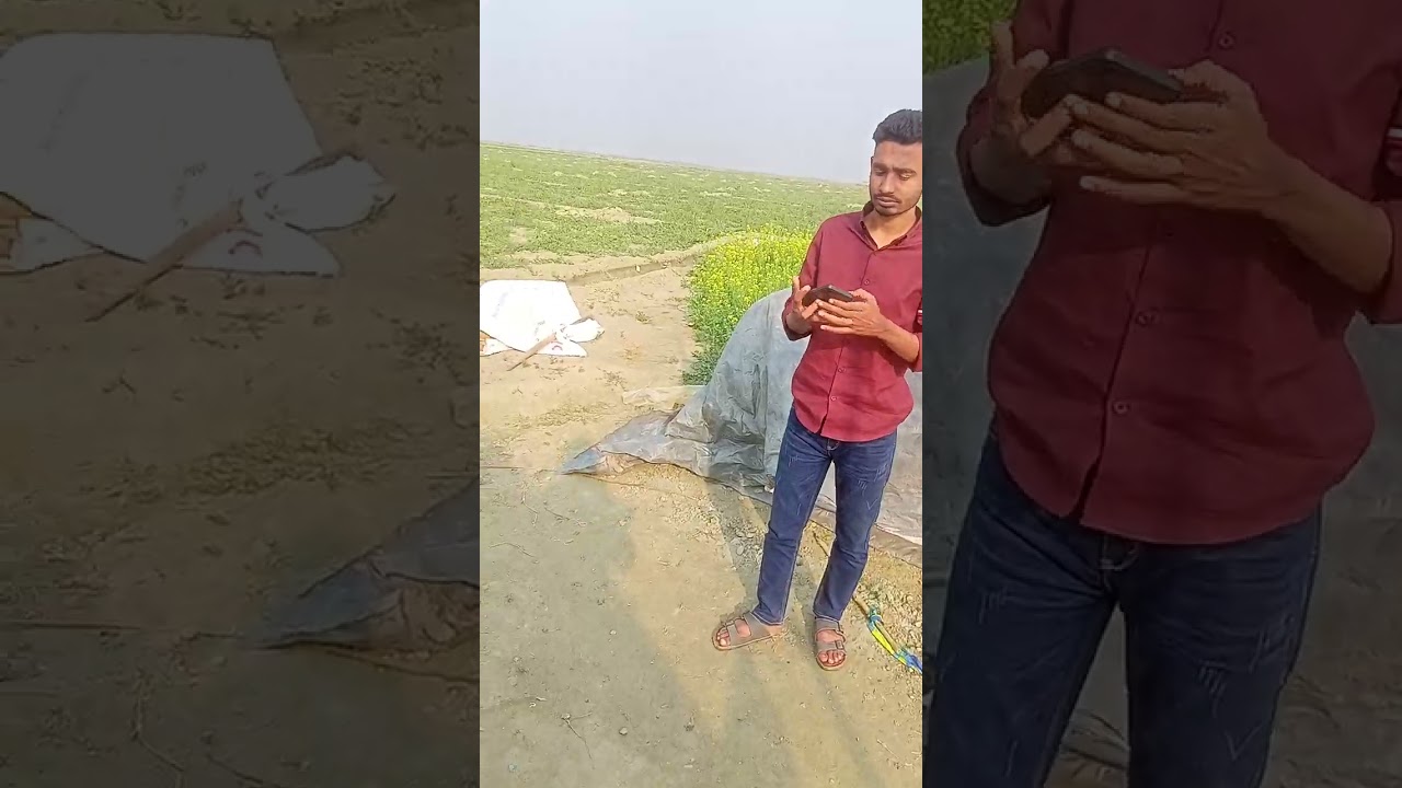 তরমুজ চাষের ফলোন অনেক ভালো হয়েছে,#comedyfilms #travelblog 