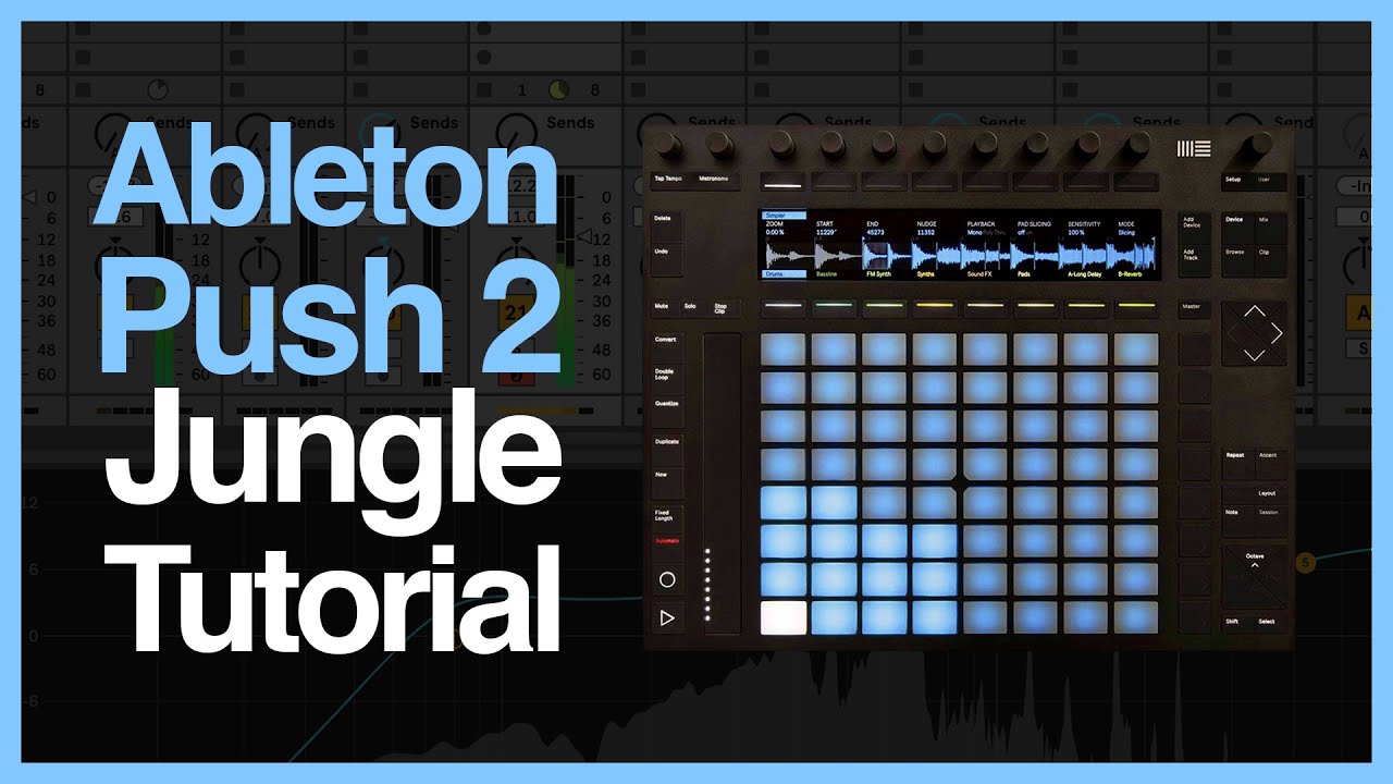 How To Make Jungle On Push 2 - Ableton Live