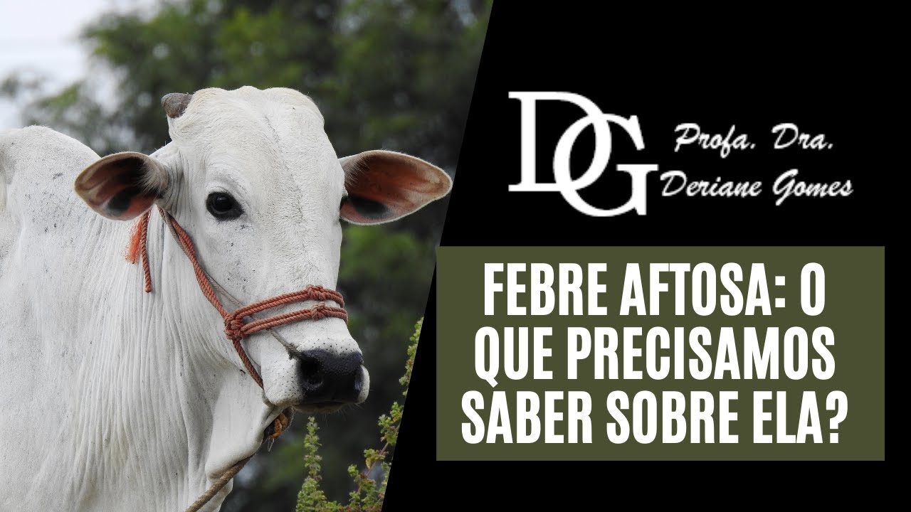 045. Febre Aftosa: O Que Precisamos Saber Sobre Ela?