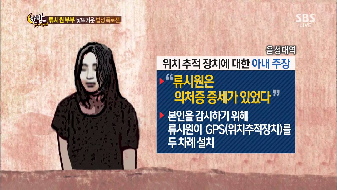 류시원부부, 낯뜨거운 법정 폭로전 @한밤의 TV연예 130821