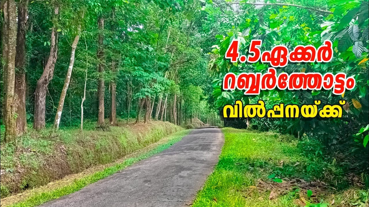 4.5 ഏക്കർ റബ്ബർ തോട്ടം വില്പനക്ക്‌ Rubber plantation for sale I 24 kerala properties I 409