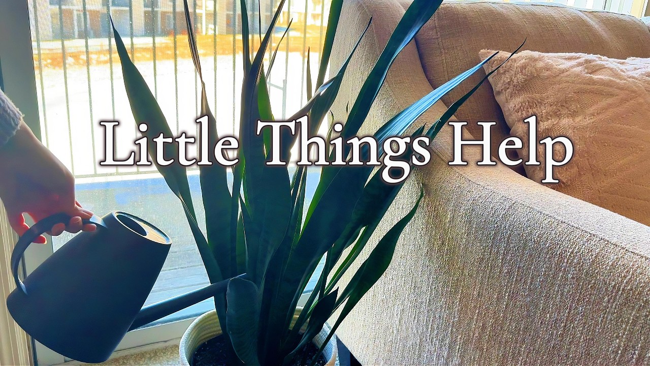 Cozy Daily Life Vlog | Cooking, Baking & Finding Comfort at Home