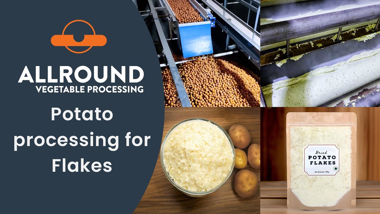 Potato processing for Flakes I Allround Vegetable Processing