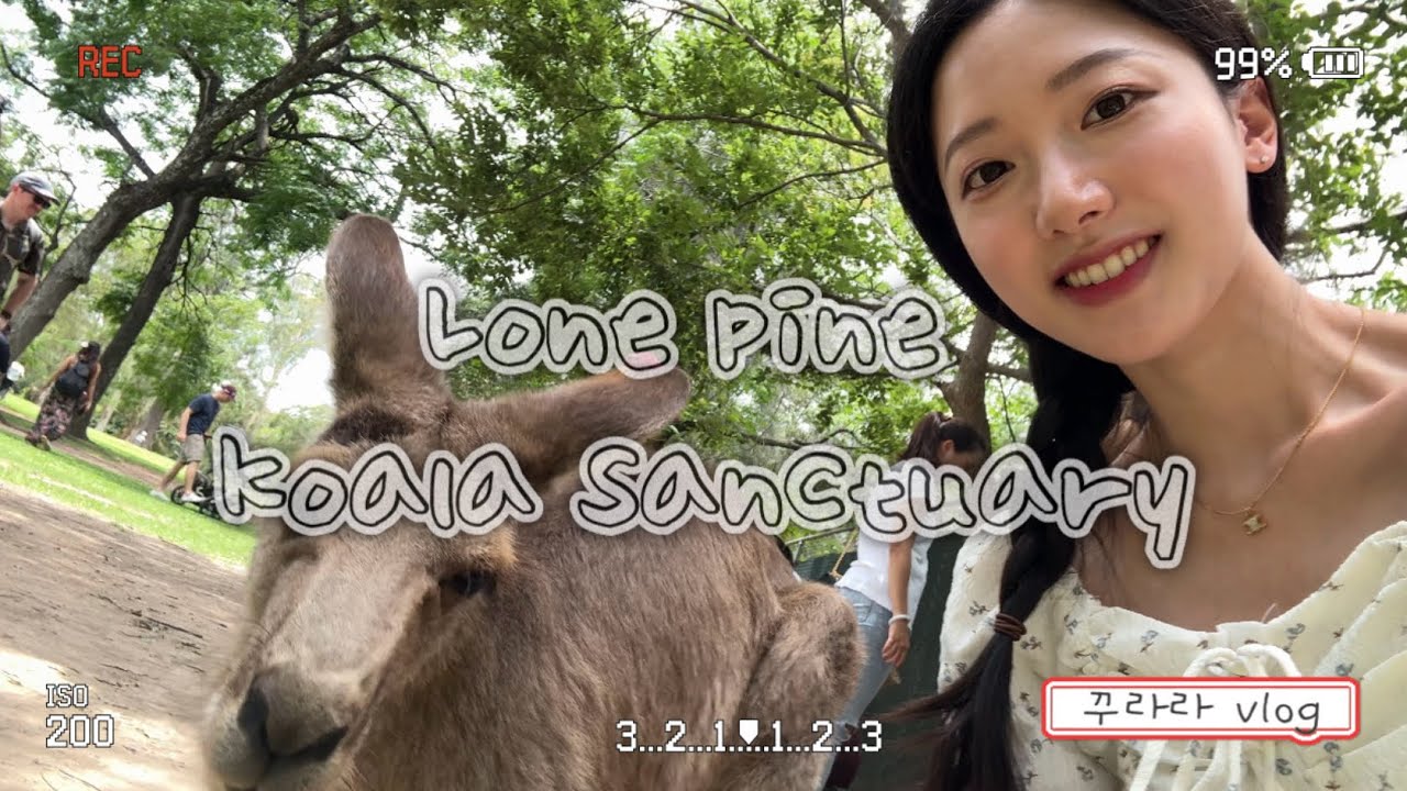 (Sub) 캥거루 밥주고 코알라 쓰담고 노는 하루 🦘🐨| 브리즈번 여행 필수 코스 론파인!🌿 | 어린이들은 캥거루한테 밥 안주고 나한테 주고감 🤣 | Brisbane vlog 🇦🇺