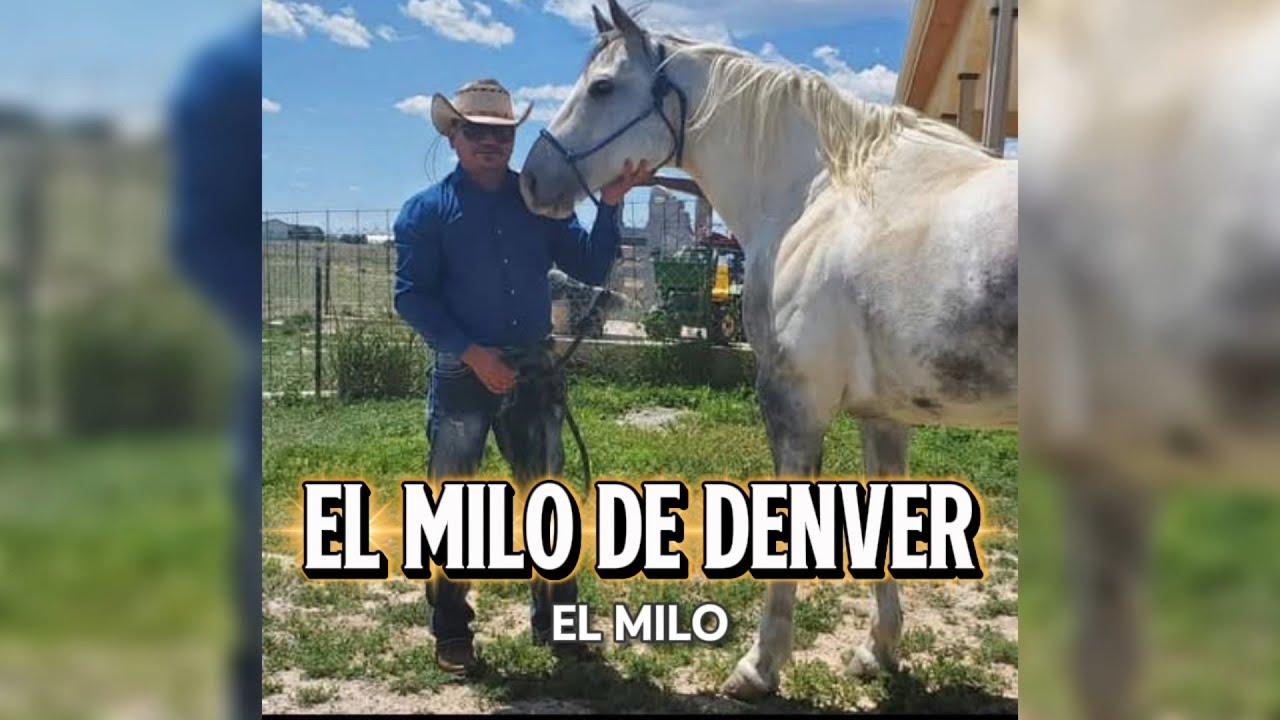✨EL MILO DE DENVER 🎧🎶 | Corrido tumbado | Vozenda Musical 