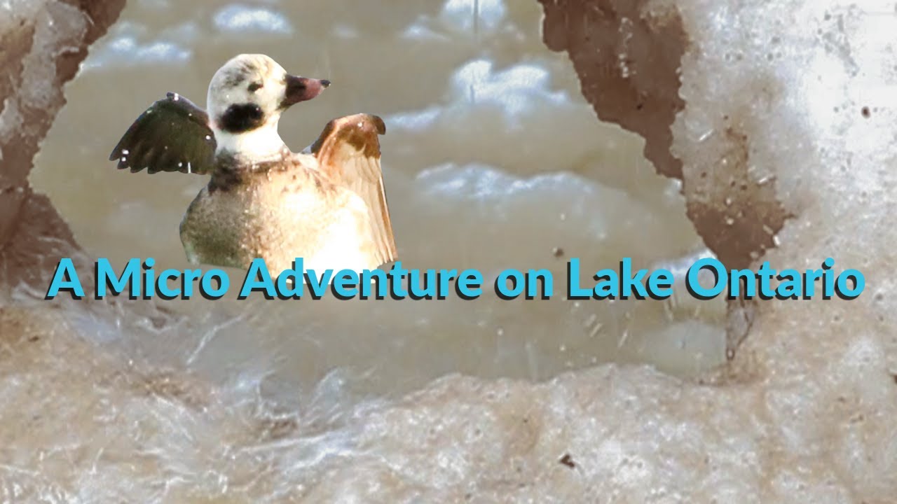 A Micro Adventure| Is Lake Ontario the Ultimate Slushie Machine #nature #winterexpolration #Lake