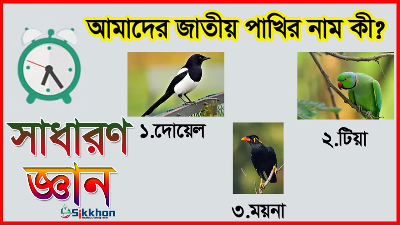 General Knowledge for kids,  ছোটদের সাধারণ জ্ঞান | সাধারণ জ্ঞান পাঠ | sikkhon kids