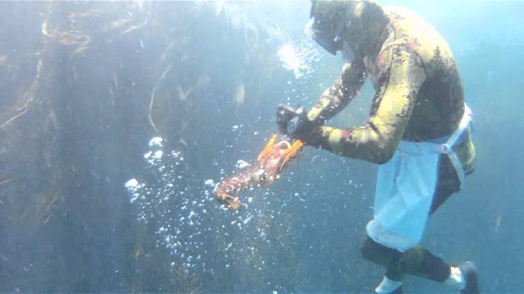 Crays Cape Bridgewater