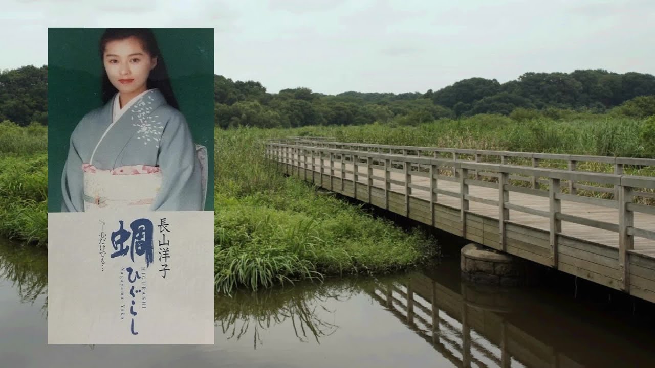 蜩　 長山洋子