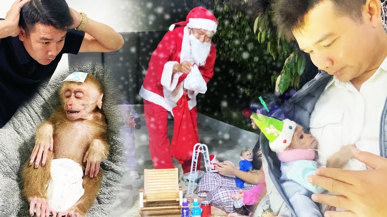 Looking Back At Jobi's Recovery Journey And A Peaceful Christmas With His Dad, Hung.
