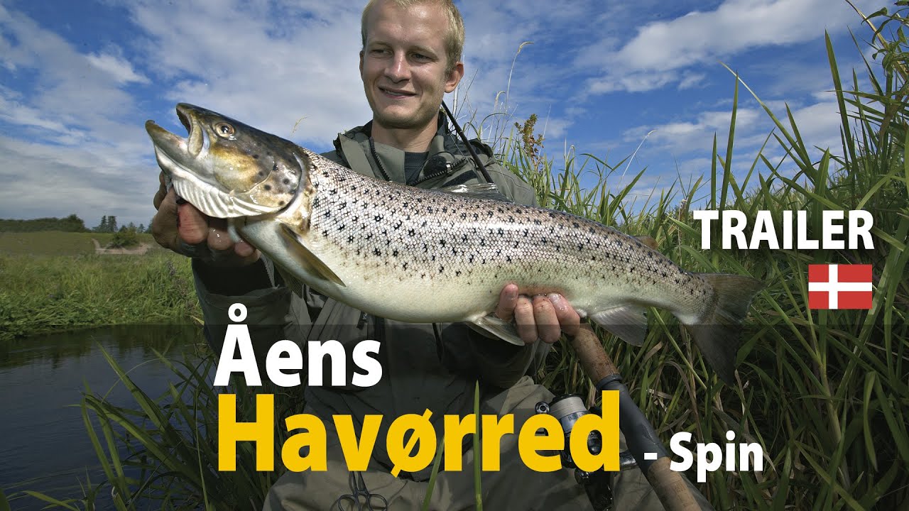 &Aring;ens Hav&oslash;rred - spin &bull; Trailer