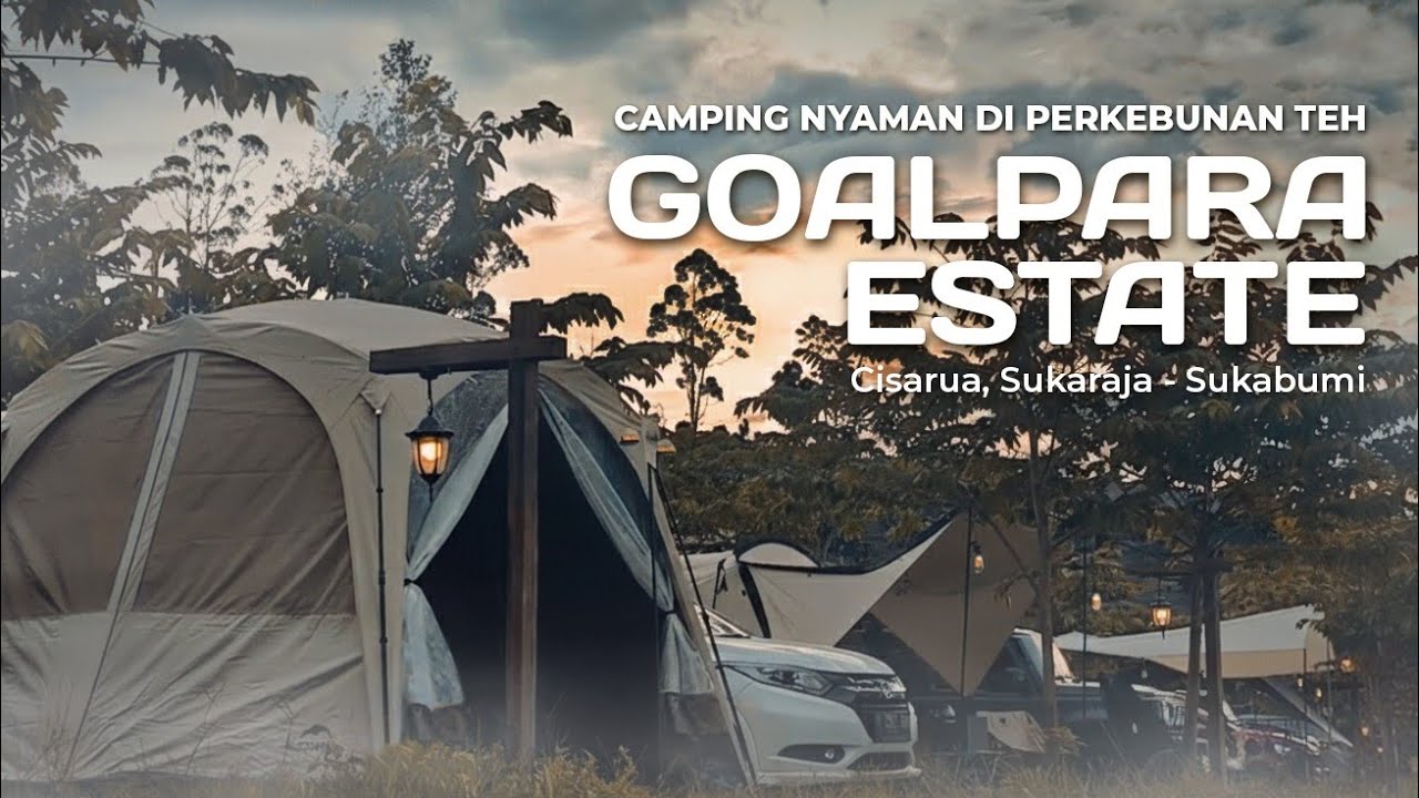 GOALPARA ESTATE CAMP SUKABUMI | CAMPERVAN AREA - Camping Berselimut Kabut Di Indahnya Kebun Teh