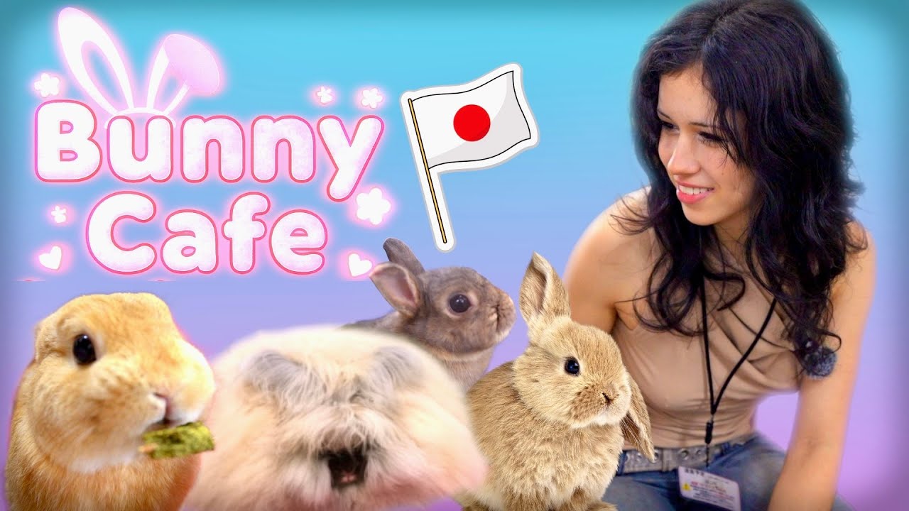 CUTEST Bunny Cafe In Japan!🐰❤️