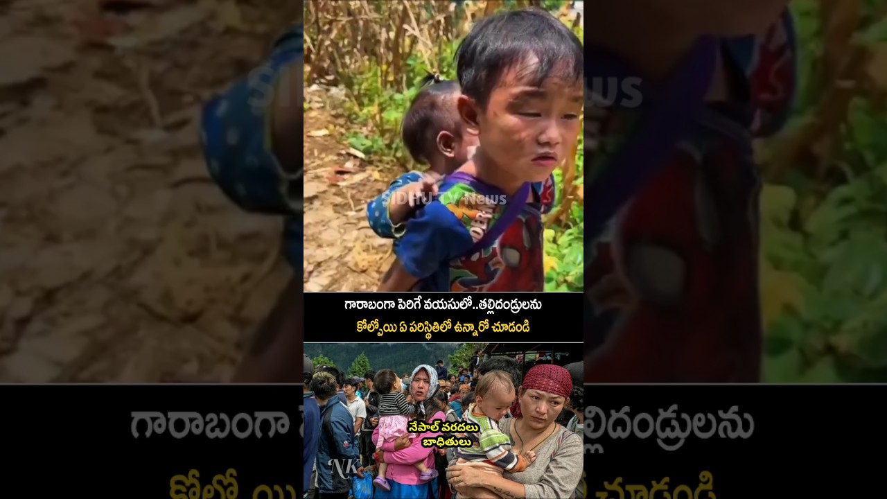 See the condition of young children in the floods.. Nepal Flood Innocent Kids Stuck | Sidhu TV News
