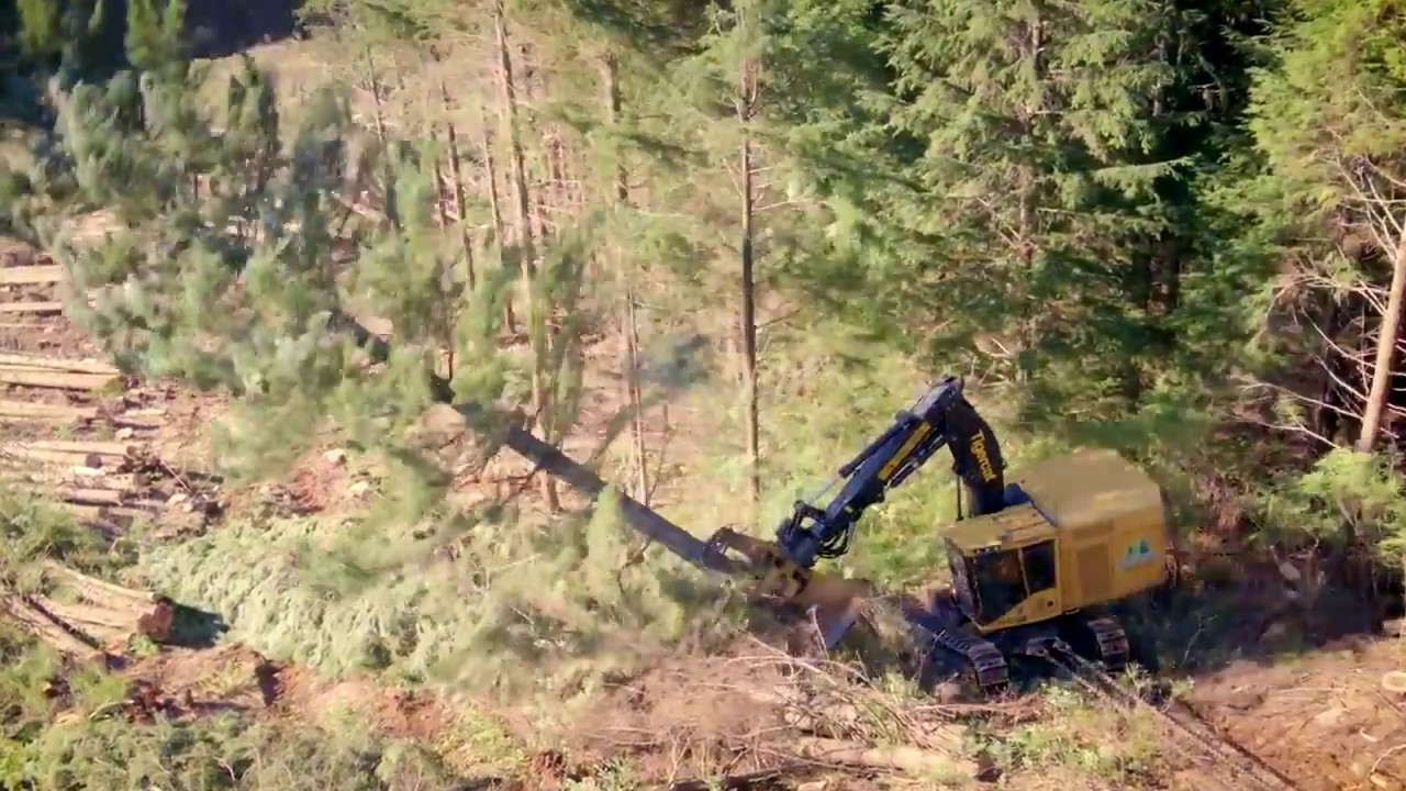 Feller Buncher Tigercat LX870D