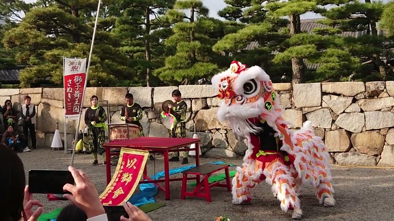 神戸華僑總會舞獅隊　獅子舞王国さぬき2025本祭　披雲閣前ステージ2025-11-02