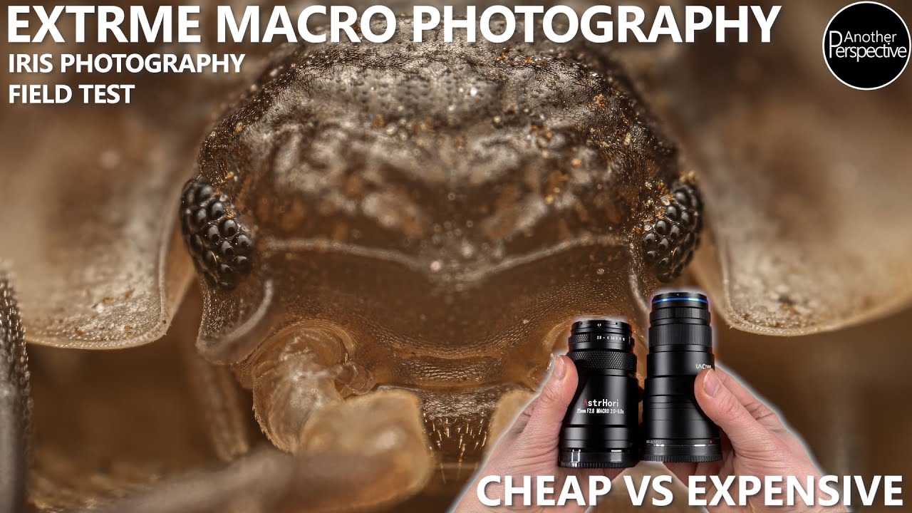 Macro Photography on a Budget - AstrHori 25mm Macro Lens