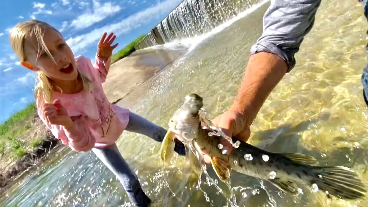 Spearing Carp & Saving Garfish At The SPILLWAY! (Are they all DEAD!?)