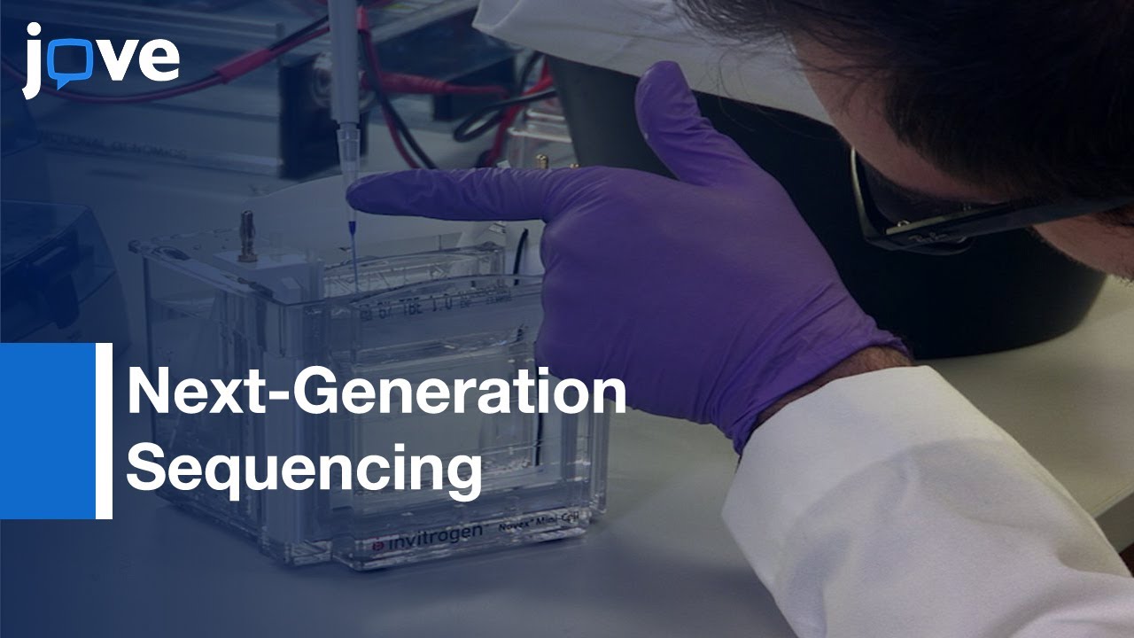 Targeted DNA Methylation Analysis: Next-Generation Sequencing -Preview