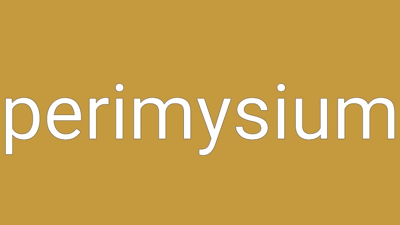 Perimysium Definition & Meaning