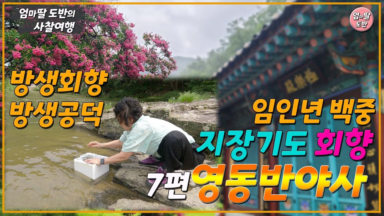 백중 지장기도 회향[7편 영동 백화산 반야사] 방생회향