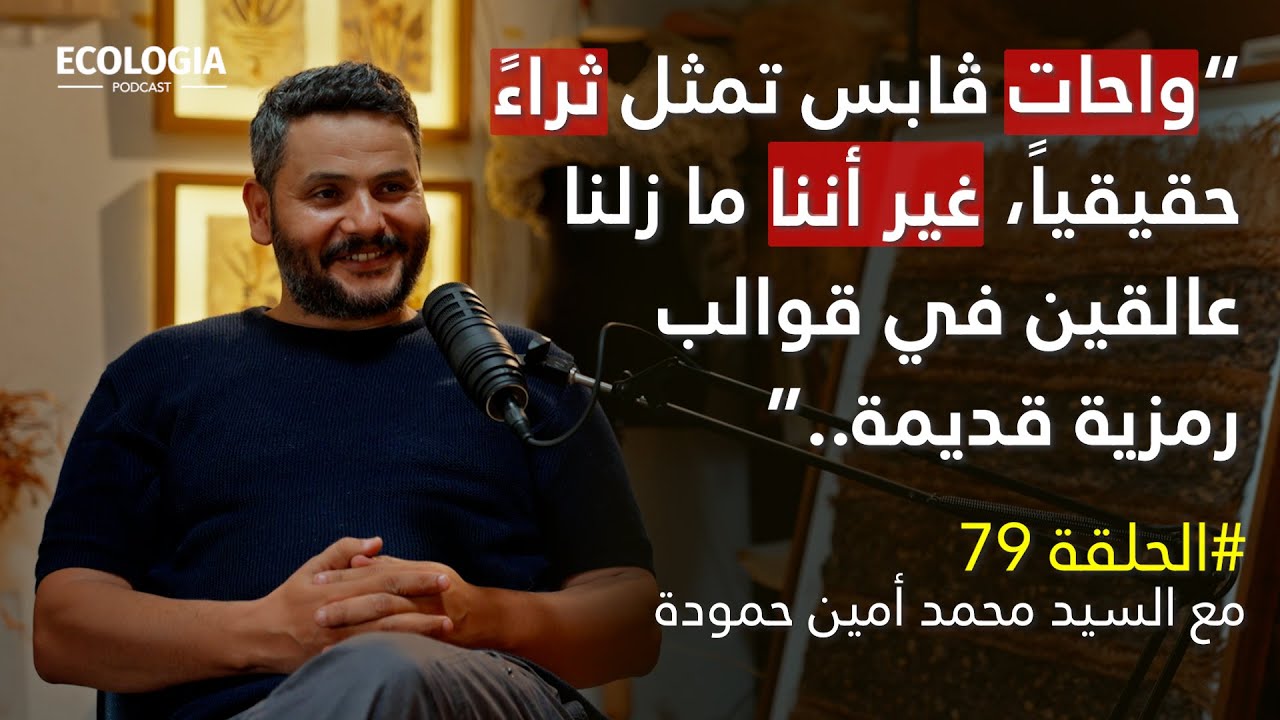 الحلقة 79 - ألياف ڨابس | مع السيد محمد أمين حمودة