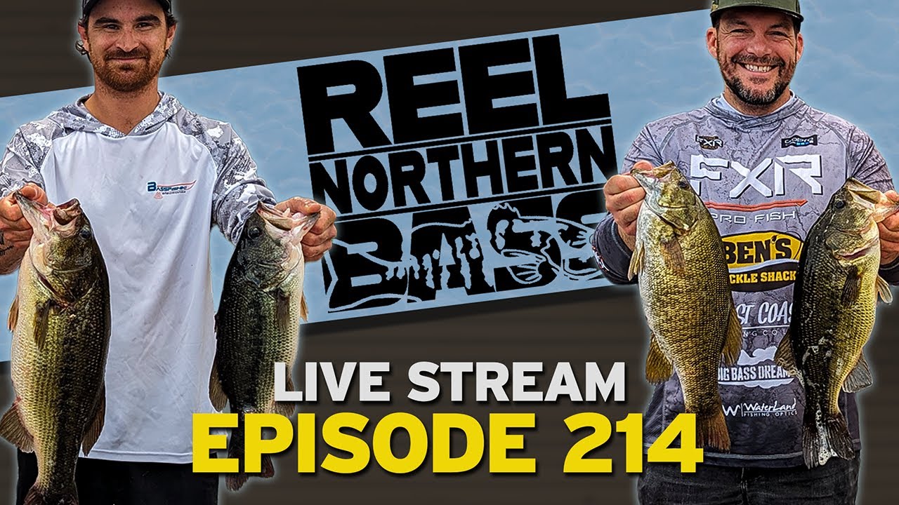 Reel Northern Bass Talk Livestream Open Topic Night!