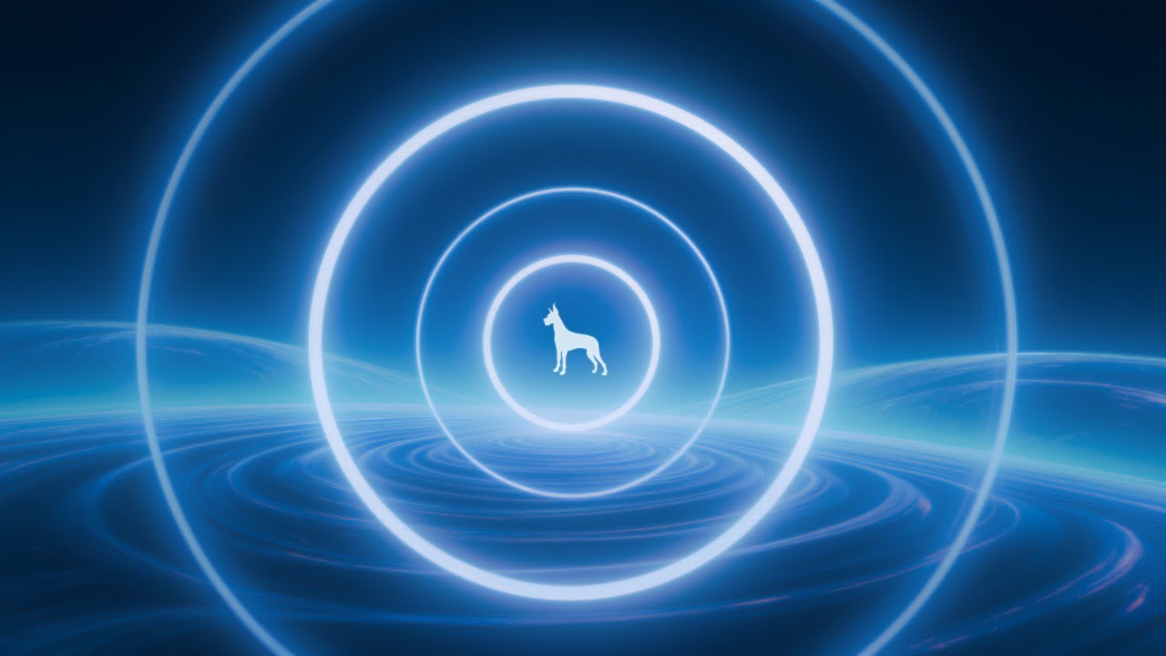 10 Hours of Frequency Blanket for Dogs – Deep Theta Rest | Dog Healing Music