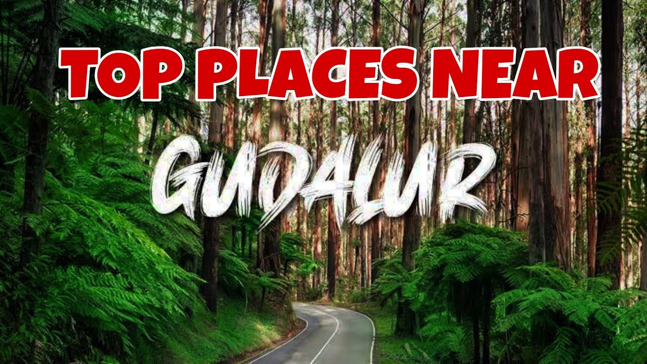 Must visit places in Gudalur / Gudalur travel guide in tamil / Ooty travel guide / New View Nilgiris