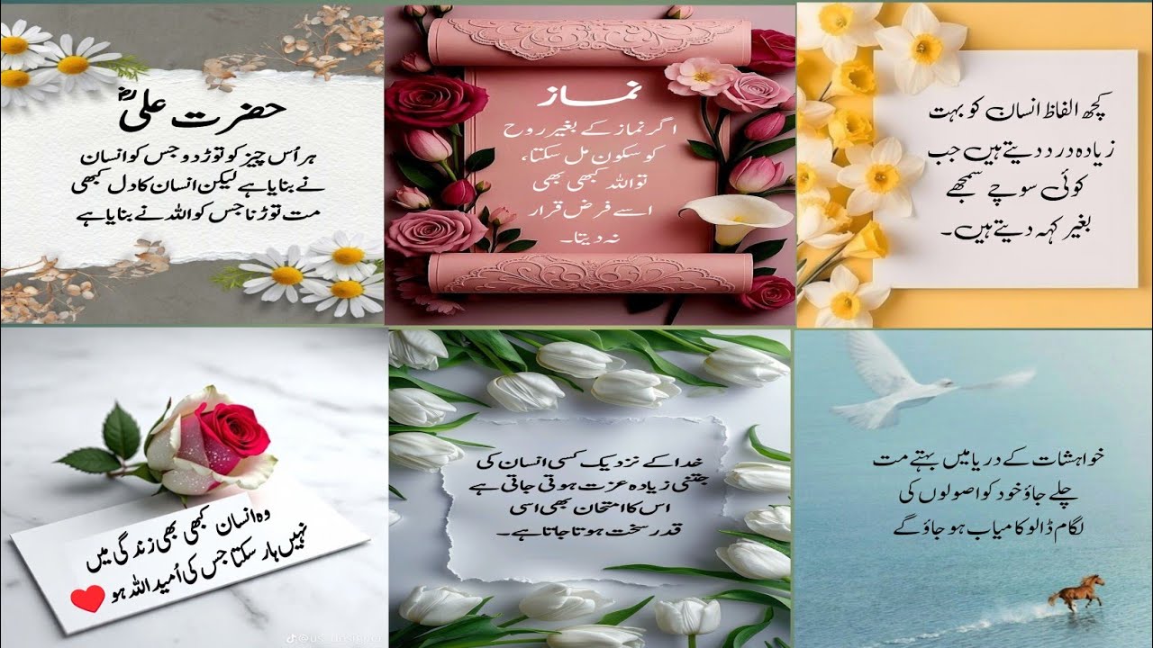Aqwal e zareen | Islamic Motivational quotes | Aqwal e zareen in Urdu 