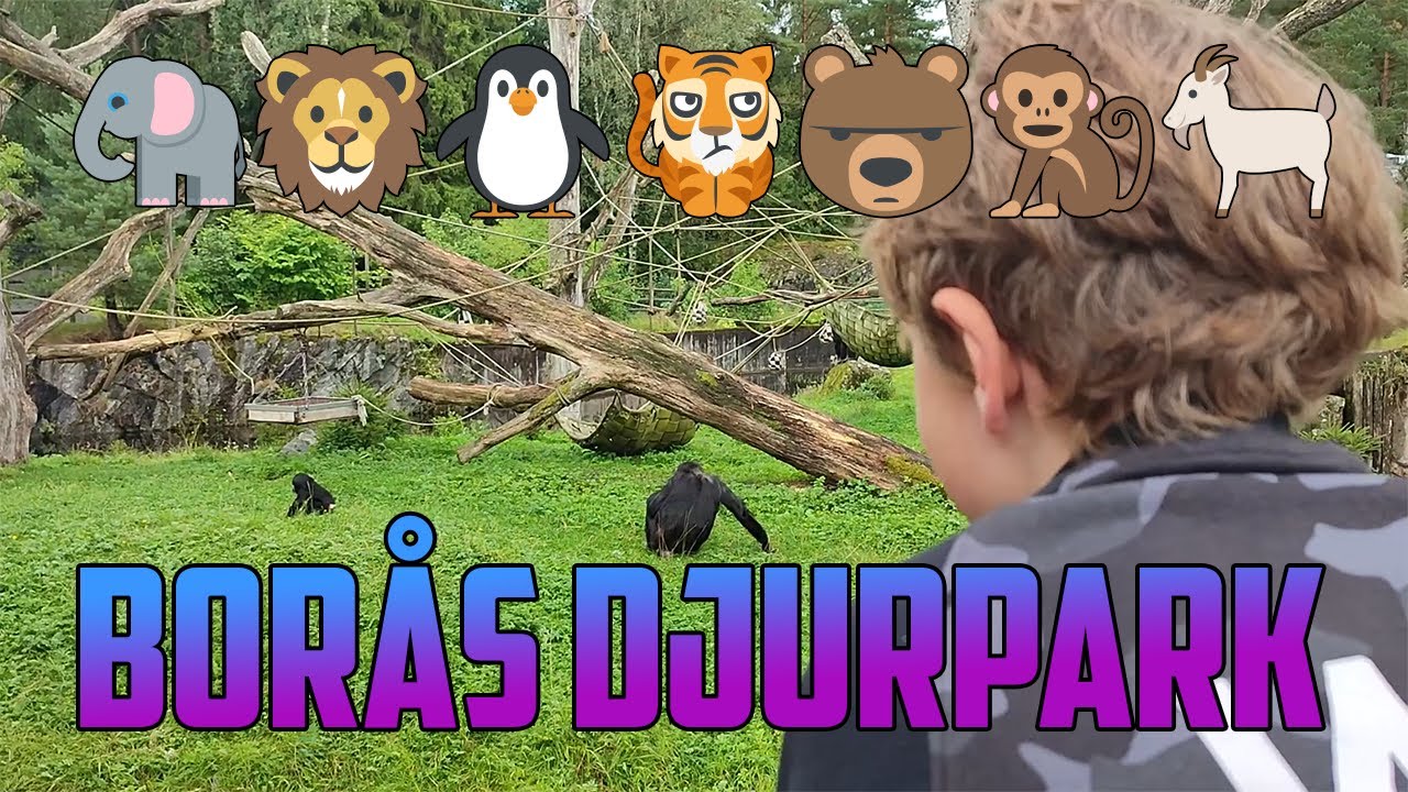 En dag på Borås djurpark