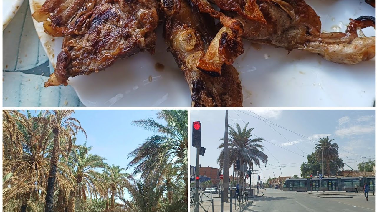 رحنا مرة اخرى لولاية ورقلة❤مشاوي في جلال ولاية خنشلة😋🥰 #ورقلة #خنشلة