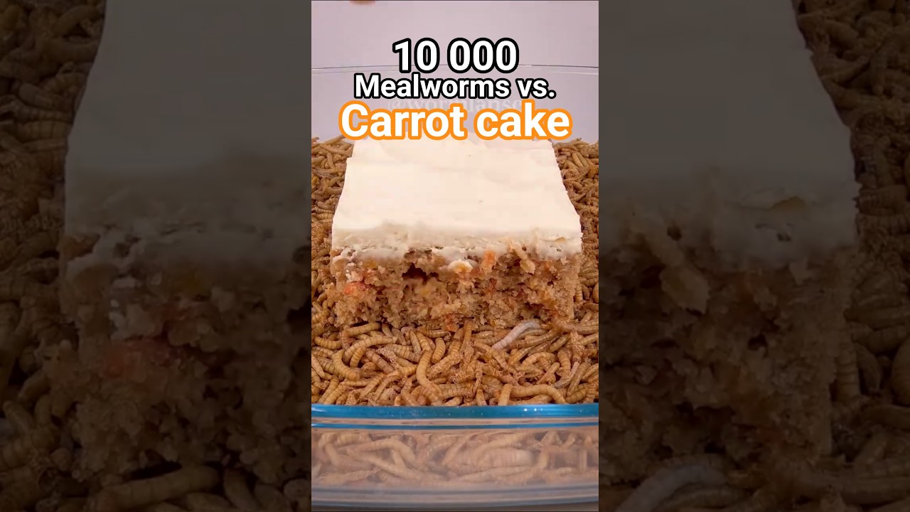 10 000 мучных червей против морковного торта 🍰